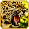 A Bloody Leopard Rampage Hunting Pro - Best Leopard Assault Hunter Version