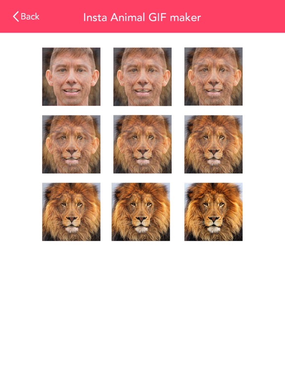 Screenshot #4 pour Insta Animal Gif Creator