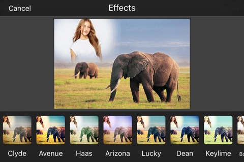 Animal Photo Frames screenshot 3