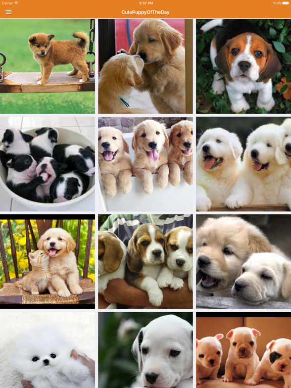 Screenshot #6 pour Dog News & Puppy Training Tips Free