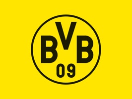 Fun stickers for BVB fans