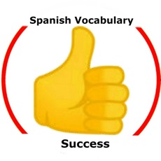 Activities of Spanish Vocabulary Success