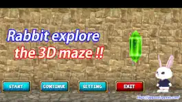 Game screenshot Rabbit explore the 3D maze!! hack