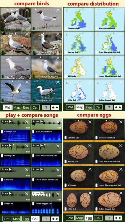 Birds of Great Britain - a Sunbird field guide screenshot-3