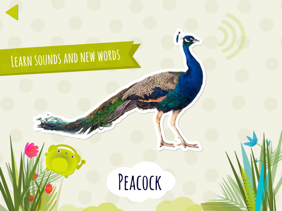 Domi Domi Listen And Guess