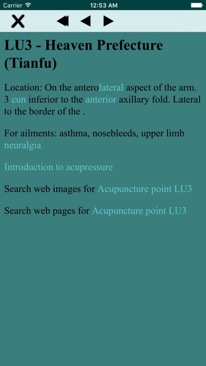 Massage Map 3D X-Ray