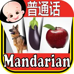 Kids Chinese & English Flash Cards ABC app icon
