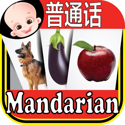 Kids Chinese & English Flash Cards ABC iOS App