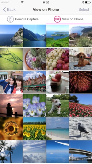 EXILIM Connect(圖2)-速報App