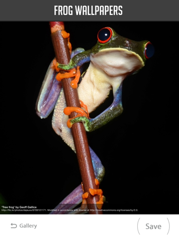 Screenshot #5 pour Frog Wallpapers