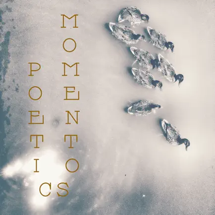 PoeticMomentos Читы