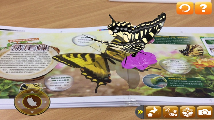 MY BUG - Augmented Reality