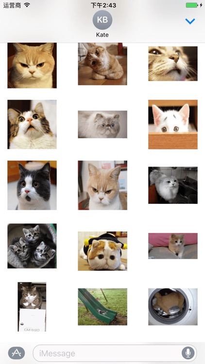 Small Kitty screenshot-4