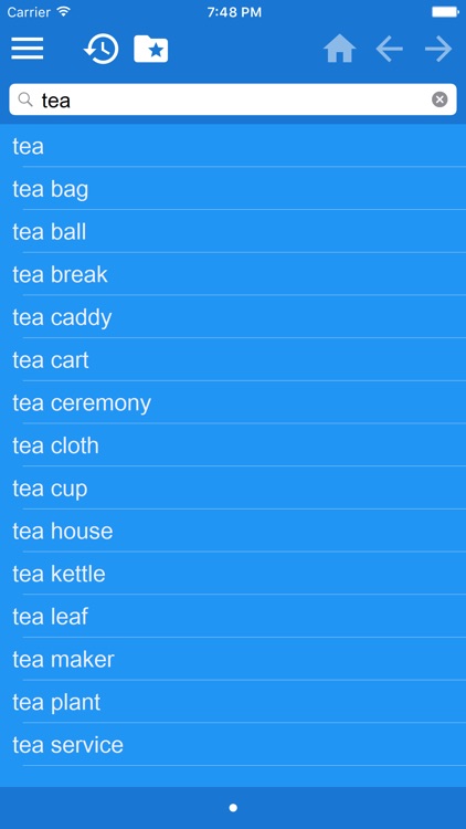 Swedish-English dictionary