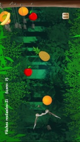 Fruit Shoot With Archery Arrow screenshot