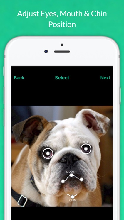 Talking Pets - Make your Cats and Dogs Speak