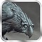 Pro Game - Enigmatis 2: The Mists of Ravenwood Version