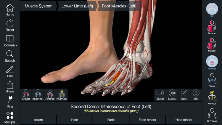 Essential Anatomy 5 screenshot-3