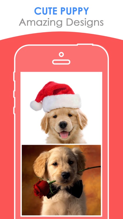 Cute Puppy Wallpapers | HD Backgrounds