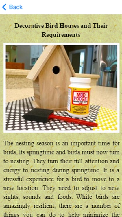 Build A Birdhouse Today