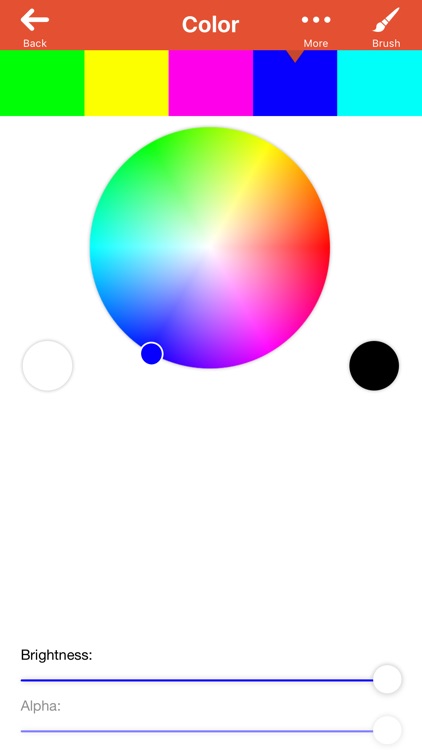 Meritum Paint