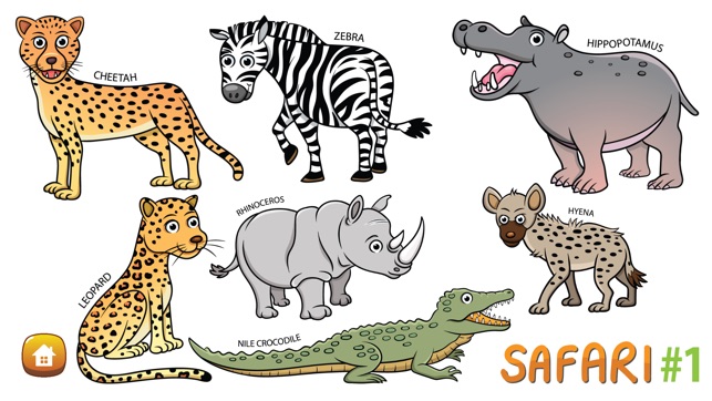 Colouring Me: Safari Animals