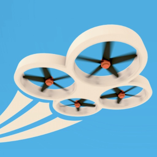 Delivery Drone Icon