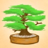 Puzzle Bonsai