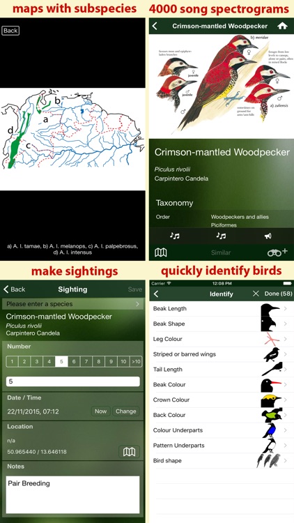 All Birds Northern South America - a field guide to all the species recorded in Ecuador, Colombia, Guiana, Peru, Venezuela screenshot-4