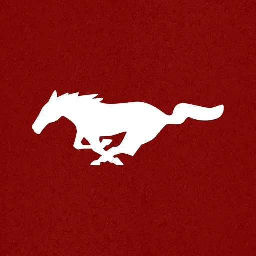 Mustang Customizer Icon