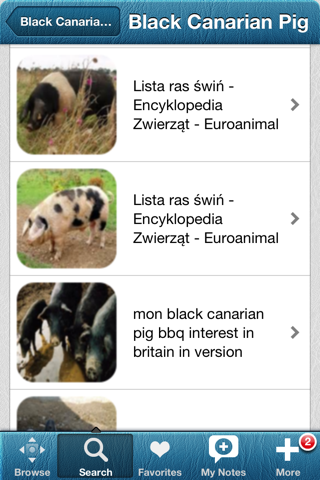 Скриншот из 1500 Pig Breeds, Medical Dictionary