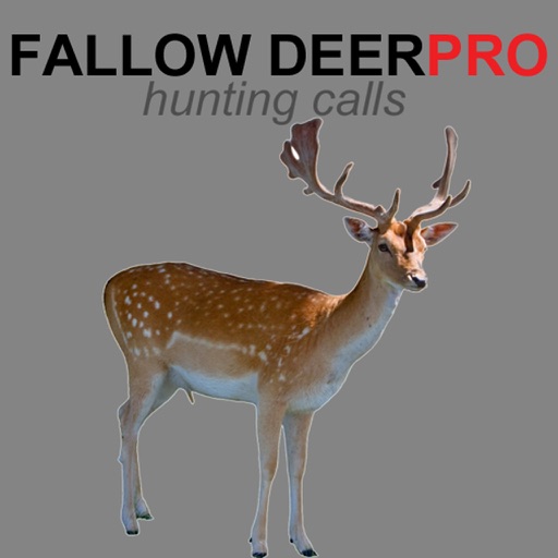 REAL Fallow Deer Calls - Deer Grunt & Deer Bark + BLUETOOTH COMPATIBLE iOS App