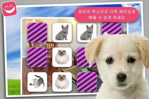 Memory Game Pets for kiddos, grandkids and toddler screenshot 4