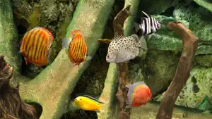 MyLake 3D Aquarium screenshot #1 for iPhone