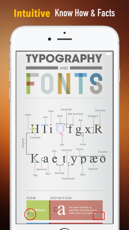 Typography Tips:Style Guide and Elements screenshot-0