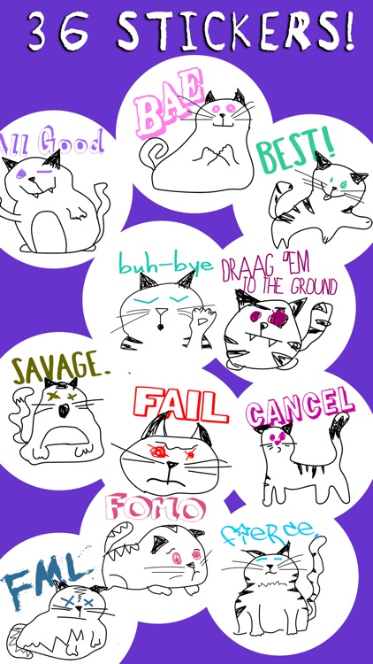 Cat Slang