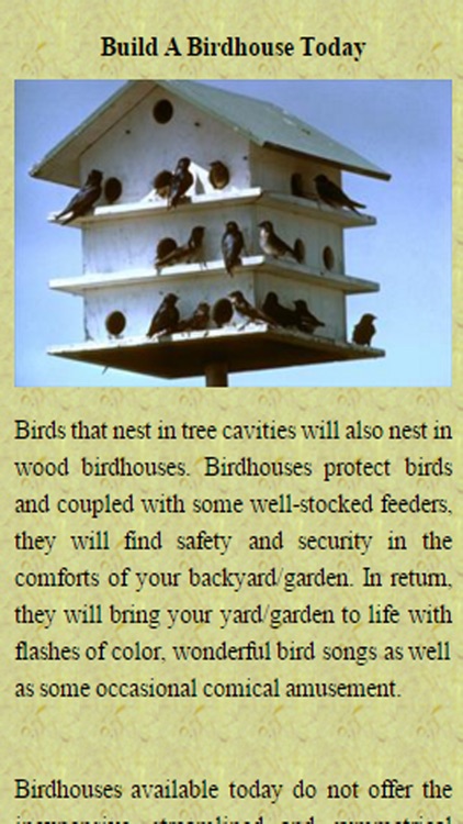 Build A Birdhouse Today