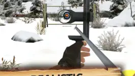 Game screenshot Archery Master 3D Cup hack
