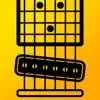 Steel Guitar App Feedback