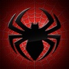 Spider Mystery