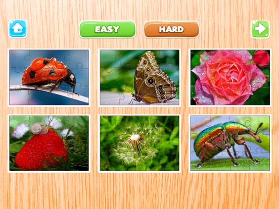 Screenshot #6 pour nature Fleurs et insecte scie à chantourner puzzle