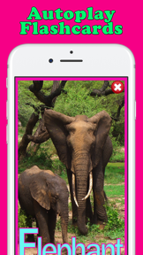 Play & Learn Animal Flashcards screenshot