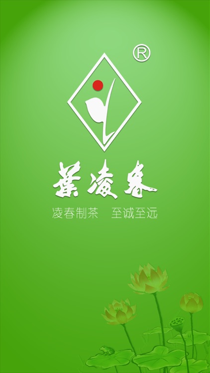 叶凌春-绿色、生态、健康的有机茶