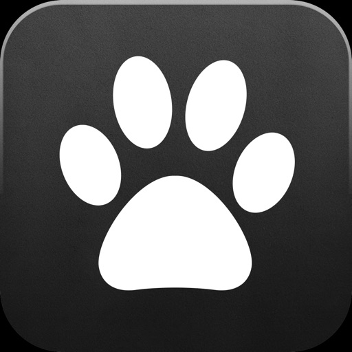 Catpad - Cats love to catch the mouse iOS App