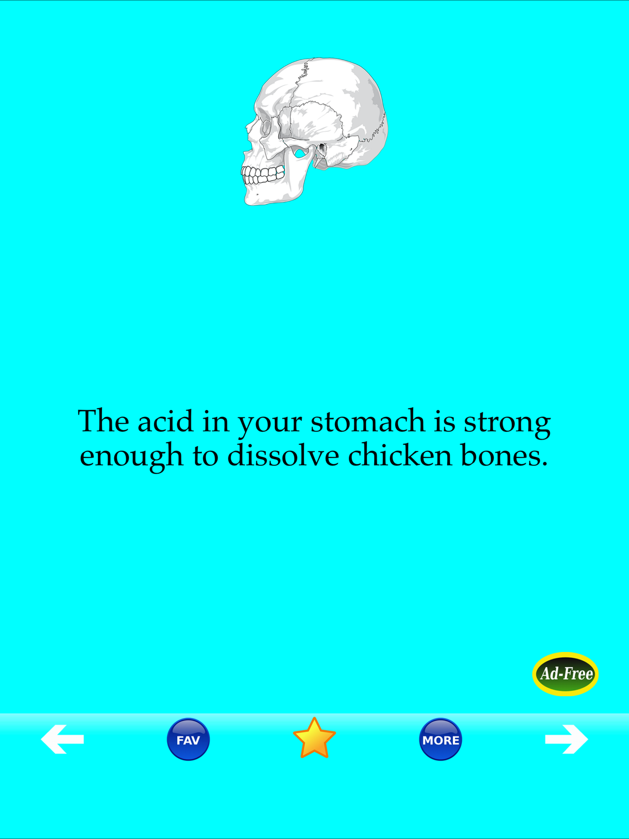 Human Body Facts 1000 Fun Quiz