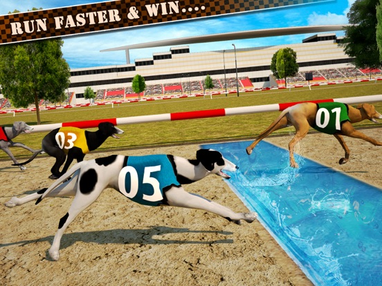 Dog Race & Stunts 2016 iPad screenshot
