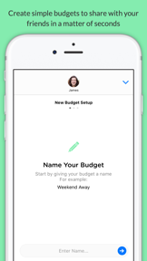 Pennies Mini - Share budgets with your friends screenshot