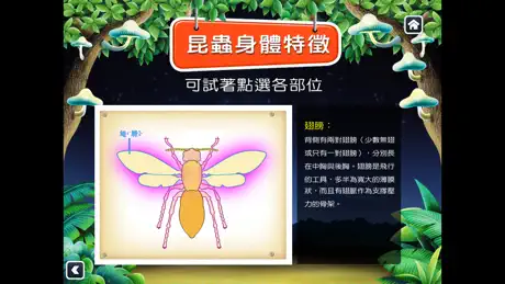 昆蟲馬戲團