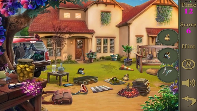 Hidden Objects Of A Butterflies screenshot-3