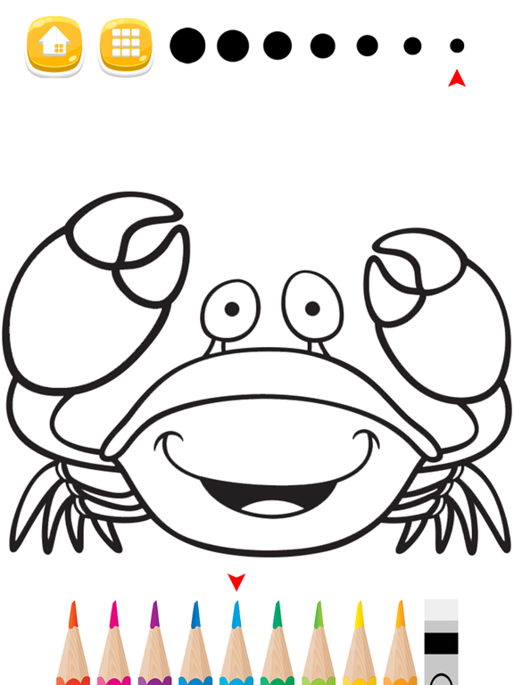Sea Animals Coloring Pages for Preschool and Kindergarten HD Free iPad screenshot
